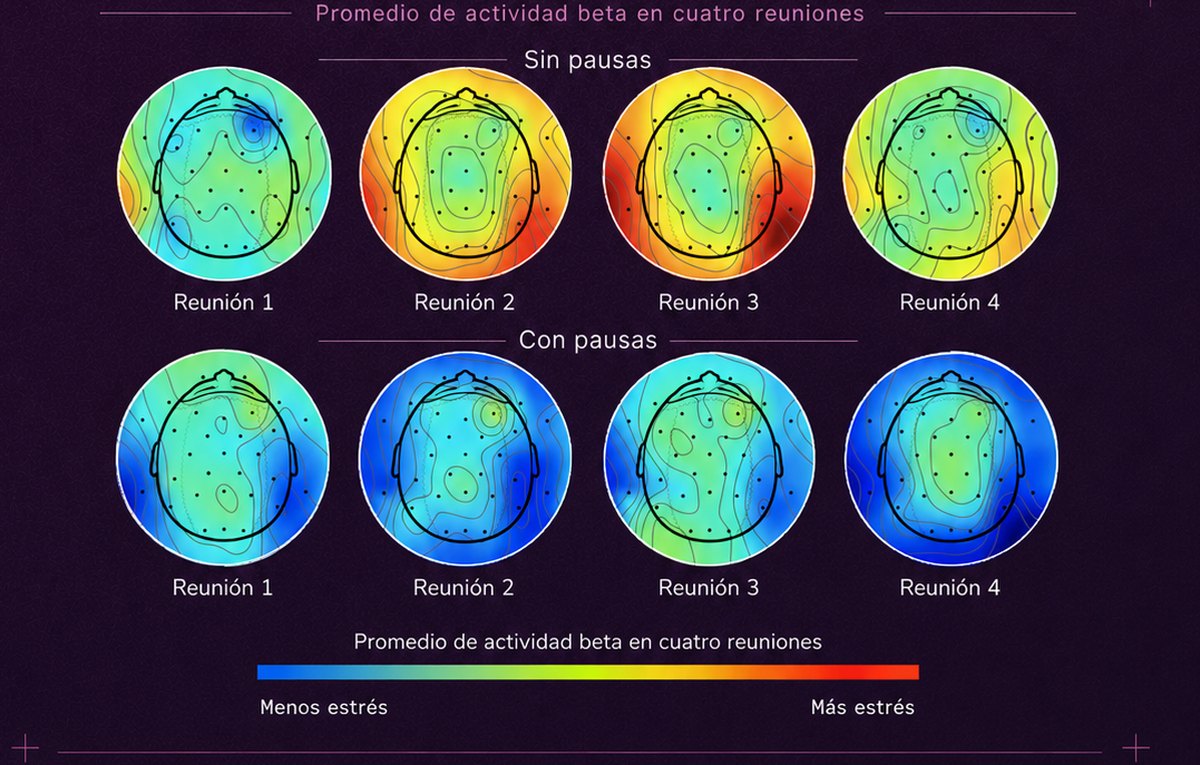 Mapas de actividad cerebral por electroencefalografía en cuatro reuniones consecutivas: sin pausas la actividad beta asociada al estrés se acumula; con pausas de diez minutos se mantiene baja.